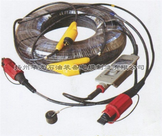 System IV電纜
