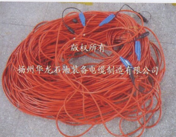 ARAMARIES電纜