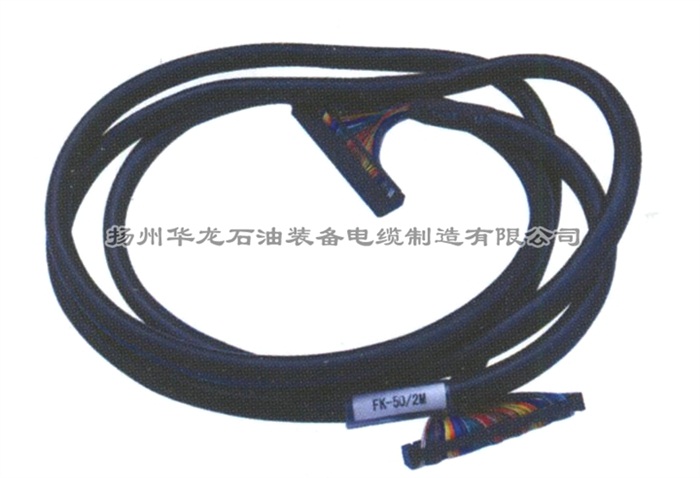 系統(tǒng)電纜